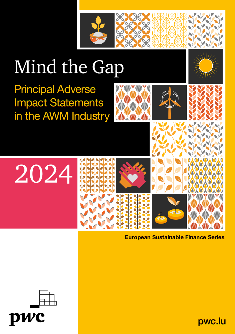 Rapport Principal Adverse Impacts